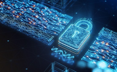 Data backup drive image